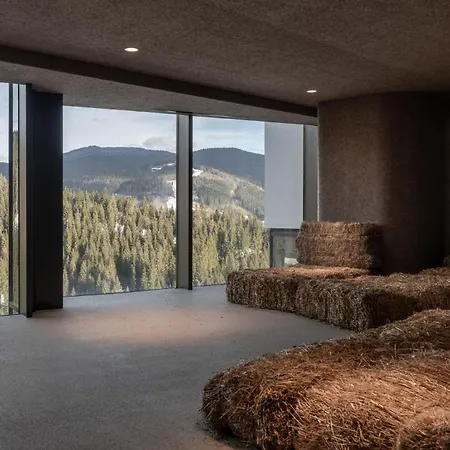 Mountain Wellness &